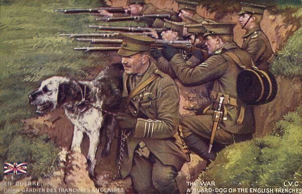 Guard dog in the British trenches (colour litho)