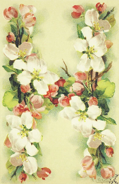 H : fleurs de pommier - Flowers alphabet G. B. editeur, Paris, 1904 (postcard)