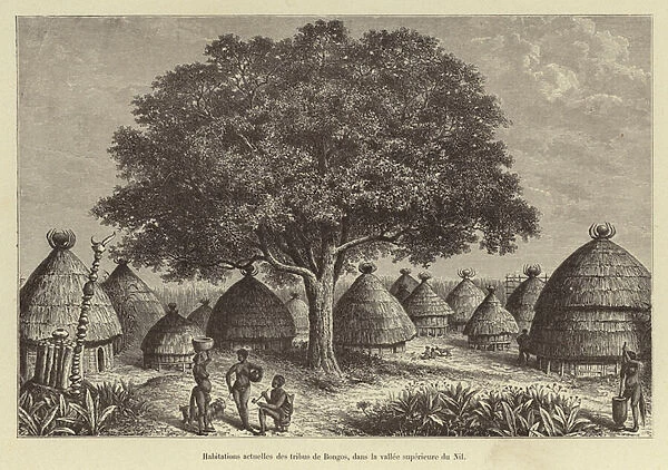 Habitations actuelles des tribus de Bongos, dans la vallee superieure du Nil (engraving)