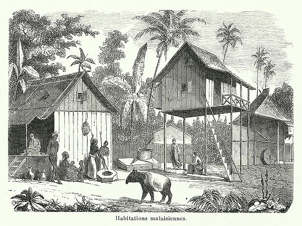 Habitations malaisiennes (engraving)