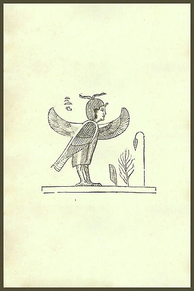 Harpy Secunda : Harpyae secunda icon, Egyptian harpy. Renaissance Woodcut monsters. From the 1642 book Monstrorum Historia by Ulisse Aldrovandi (Bologna, 1522-1605). He is considered the founder of modern Natural History