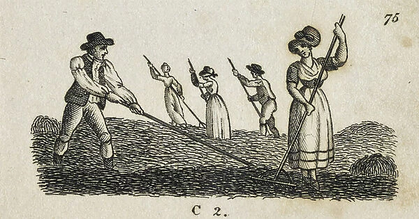 Haymaking. Early 19th century engraving
