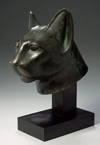 Head of a cat, Late Period (hollow cast bronze) (see also 223682)
