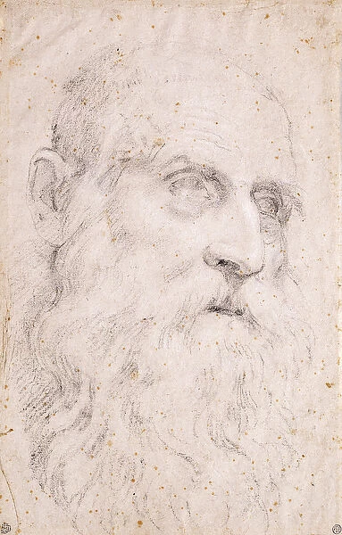 The Head of Saint Jerome (recto), c. 1611-1614 (black and white chalk on light brown paper