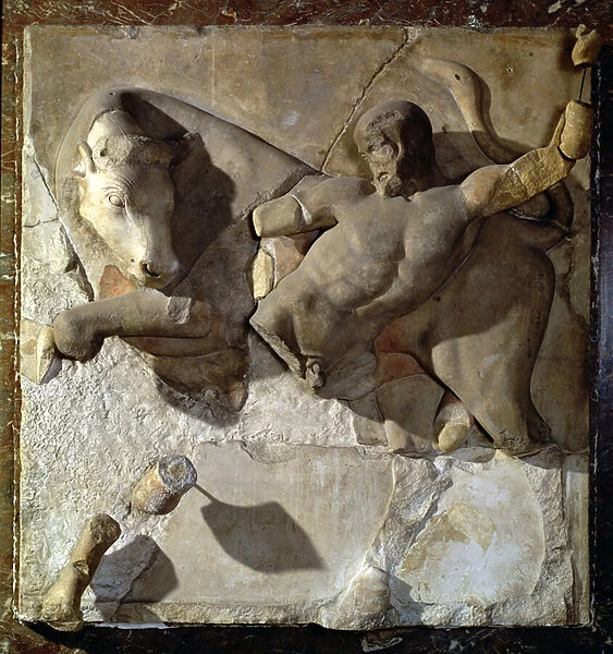Hercules Fighting the Cretan Bull, one of a series of twelve metopes depicting
