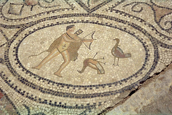 Hercules and the Stymphalian Birds, from the floor of The House of Hercules