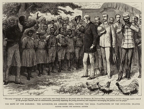 The Hope of the Bahamas, the Governor, Sir Ambrose Shea, visiting the Sisal Plantations of the Outlying Islands (engraving)