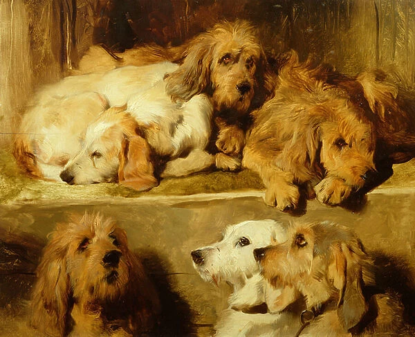 Hounds in a kennel (oil on board)