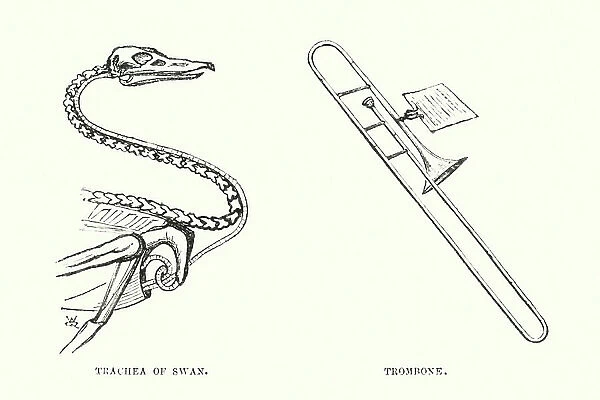 Human invention anticipated: Trombone (engraving)