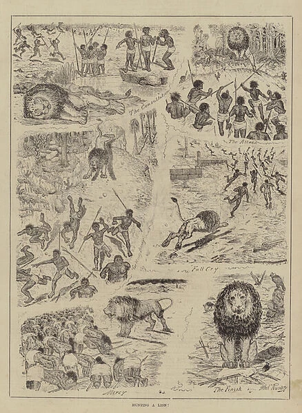 Hunting a Lion! (engraving)