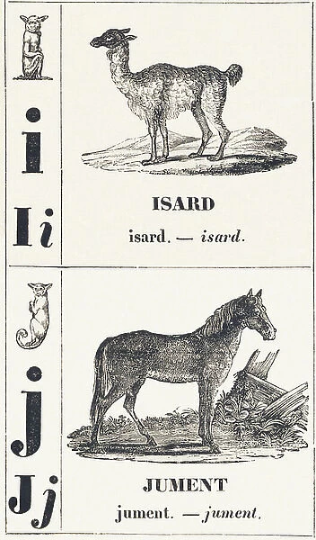 I J: Isard -- Jument, 1850 (engraving)