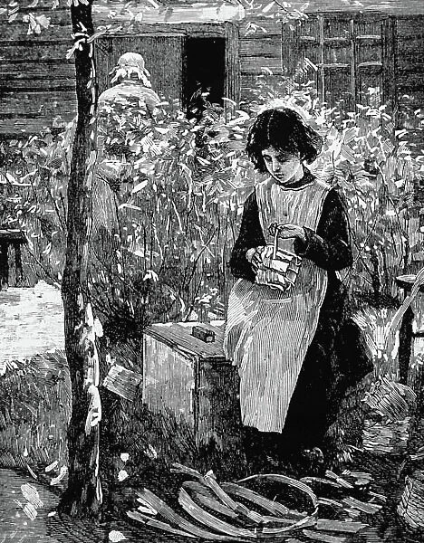 Illustration depicting a small girl making punnets for strawberries, which was the family business, 1885 (engraving)