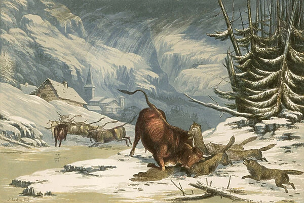Illustration for Thomsons Wolves in Winter