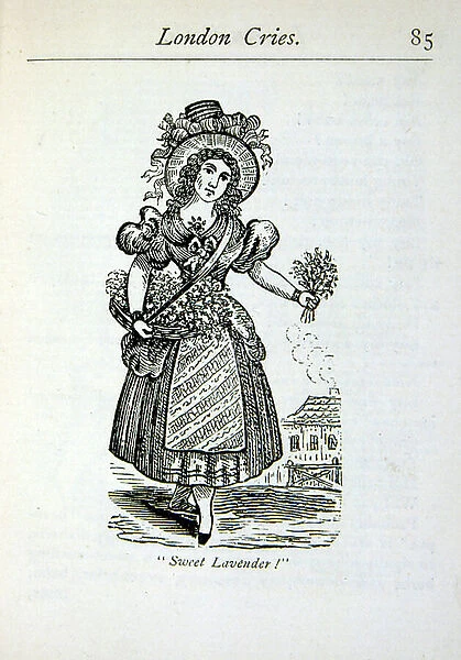 Illustration of a woman selling fresh lavender on the streets of London. Circa 1820