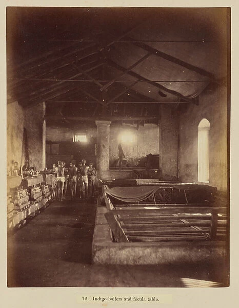 Indigo boilers and fecula table, 1877 (albumen silver print)