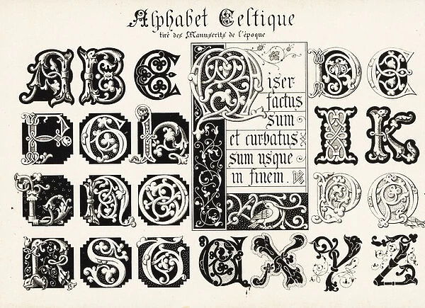 Initial letters from a Celtic alphabet taken from illuminated ma, 1897 (Chromolithograph)