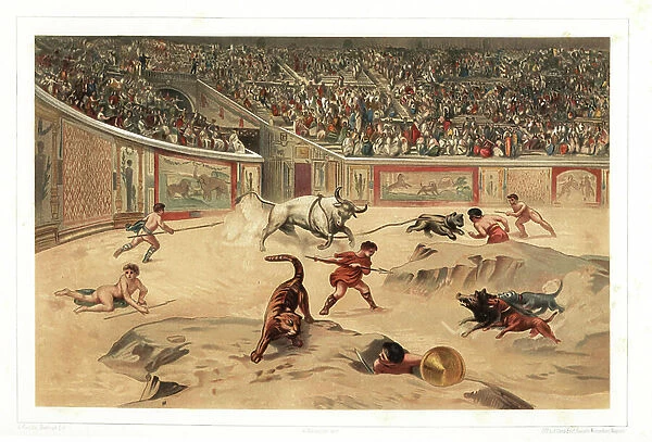 Interior of Pompeii ampitheatre during the Games. Naked gladiators battle wild animals, bulls, boars and tigers in the arena as part of a Venatio. Chromolithograph by Dietrich after an illustration by G