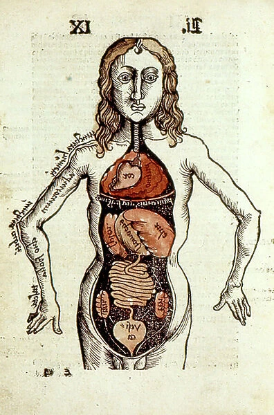 Internal organs of the human body. From Gregor Reisch Margarita Philosophica, Basle, 1508