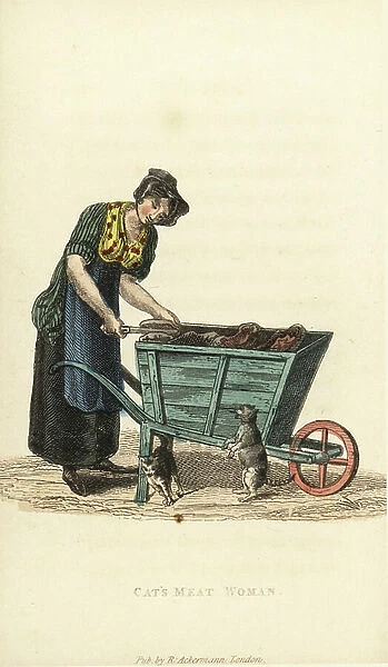 Itinerant butcher woman selling cat's meat (tripe) from a barrow. Handcoloured copperplate engraving from William Henry Pyne's The World in Miniature: England, Scotland and Ireland, Ackermann, 1827
