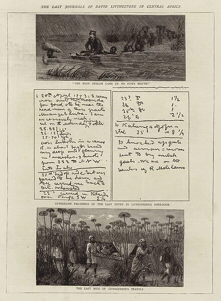 The Last Journals of David Livingstone in Central Africa (engraving)