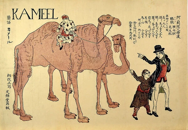 Kameel, pub. 1821 (coloured woodcut)