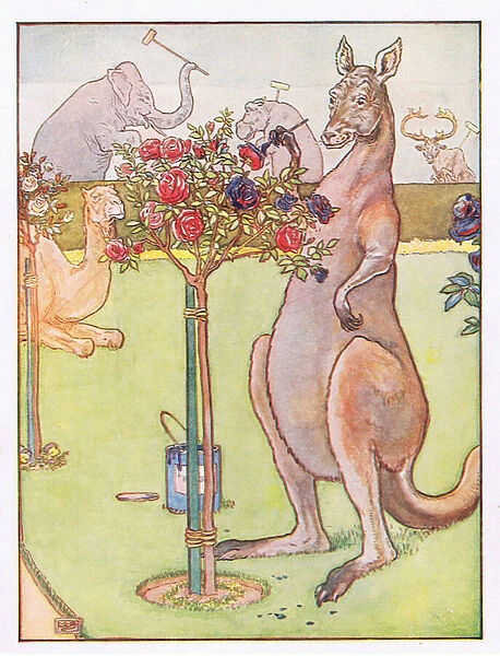 And the kangaroo tried to paint the roses blue, illustration from Johnny Crow