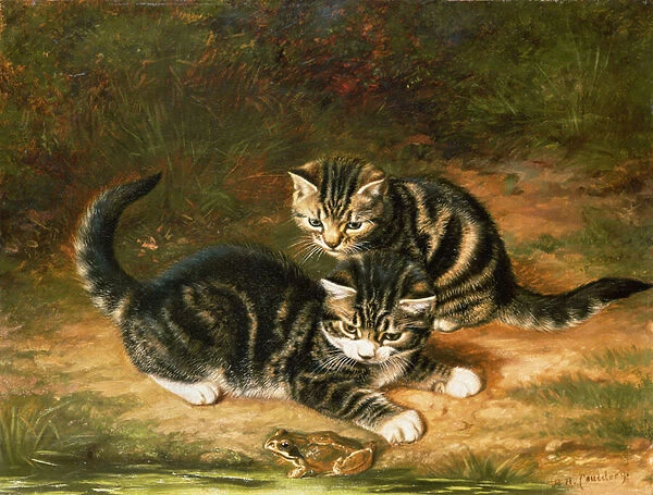 Kittens. GG28692 Kittens by Couldery, Horatio Henry 