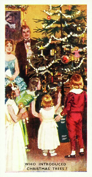Do You Know: Who introduced Christmas trees? (colour litho)