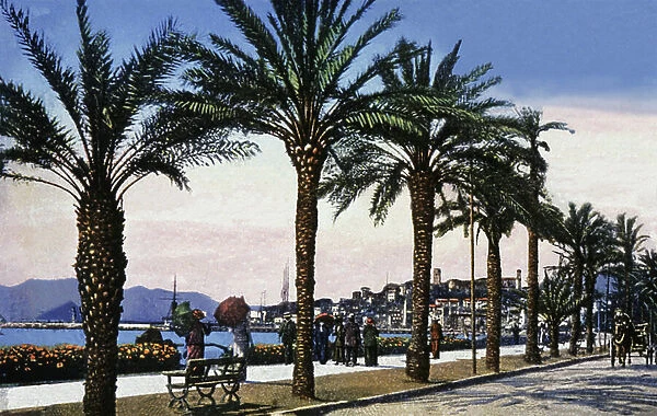 La Croisette, Cannes, c.1920 (postcard)