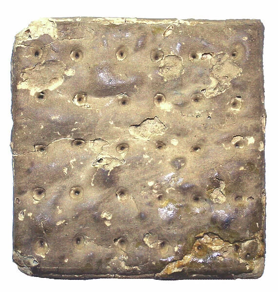 Large soldier's hardtack cracker