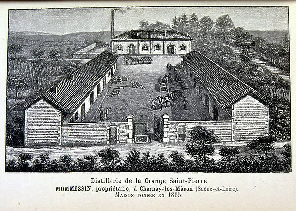 Late 19th century illustration depicting a winery in Beaujolais. The Beaujolais wine takes its name from the historical Province of Beaujolais, a wine-producing region