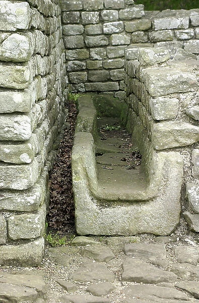 Latrine of the bath establishment (public baths) in the Roman fort Cilurnum (or cilurvum), of Chesters Walwick (Northumberland, England), fort built along the wall of Hadrian (Adrien)