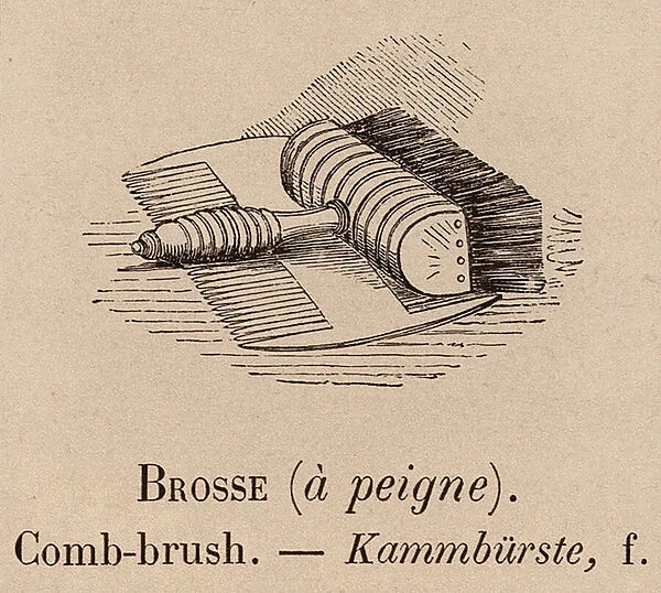 Le Vocabulaire Illustre: Brosse (a peigne); Comb-brush; Kammburste (engraving)