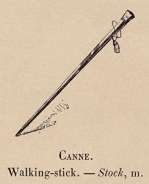 Le Vocabulaire Illustre: Canne; Walking-stick; Stock (engraving)