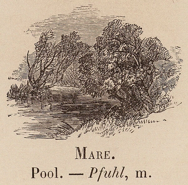 Le Vocabulaire Illustre: Mare; Pool; Pfuhl (engraving)