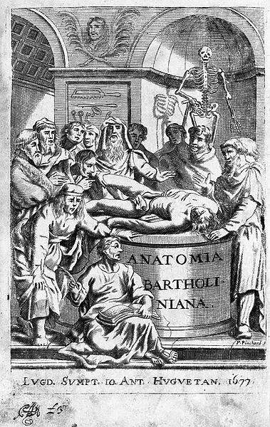 A lecon of anatomy Frontispice takes from 'Anatomia Reformata'