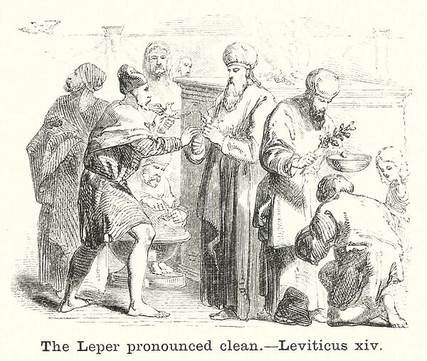 The Leper pronounced clean, Leviticus xiv (engraving)