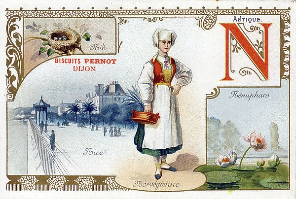 Letter N: antique lettrine, Norwegian, Nice, Nenuphars, Nid. Alphabet illustrates a character in traditional costume, a famous monument, a plant and an object or an insect. Edition the Parisian lithograph, end of the 19th century