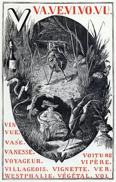 Letter V as wine, view, vase, vanesse, traveler, villager, vignette, car, viper, worm and flight and W as Westphalia. Insect alphabet. Library of education and recreation. Drawings by Leon Becker (1826-1909)