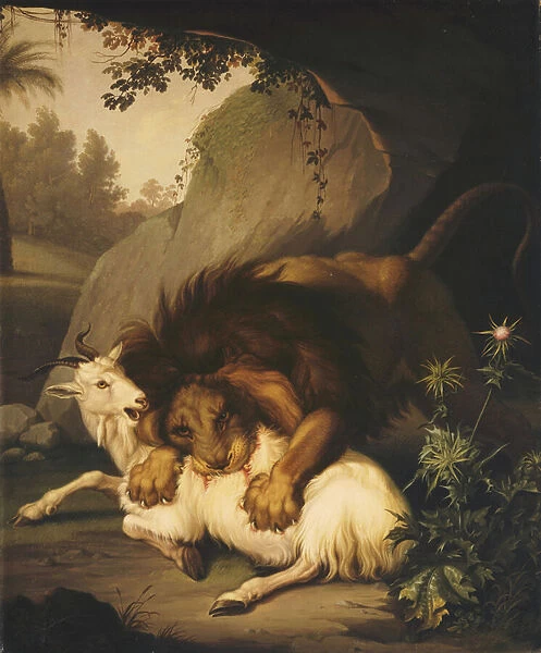 A Lion attacking a Goat, 1785 (oil on canvas)