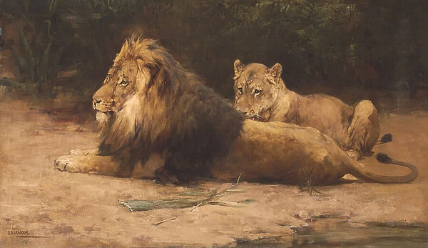 Lion and Lioness at Rest (oil on canvas)