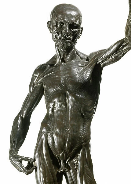 Lo spellato (The bark) Bronze sculpture by Ludovico Cardi called Le Cigoli (1559-1613) Florence. Museo Nazionale del Bargello