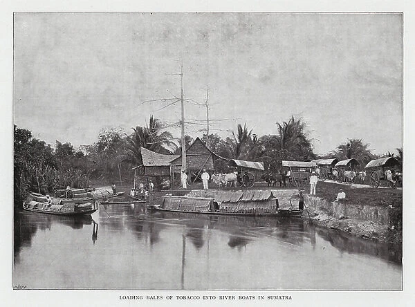 Loading Bales of Tobacco into River Boats in Sumatra (b / w photo)