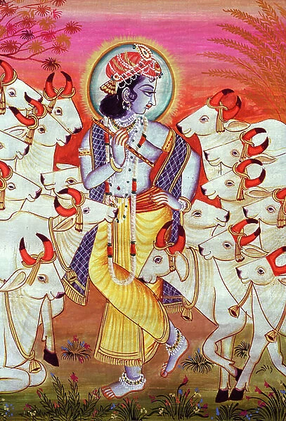 Lord Krishna and Cows Miniature Painting