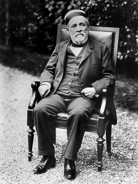 Louis Pasteur (1822-1895), c.1895 (b / w photo)