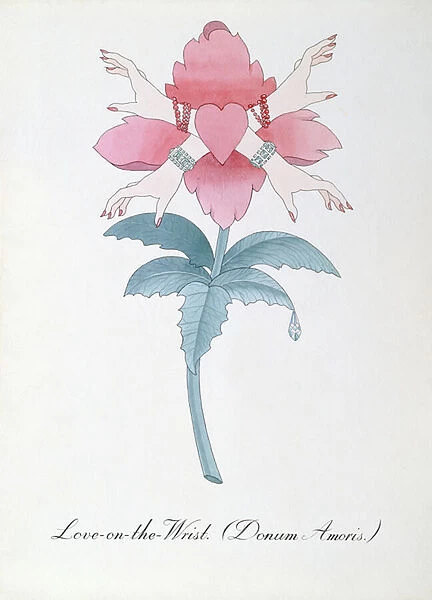 Love-on-the-Wrist (Donum Amoris. ) illustration from The Bogus Book of Botany by John Weir, 1930-48 (ink on paper)
