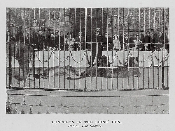 Luncheon in the Lions Den (b / w photo)