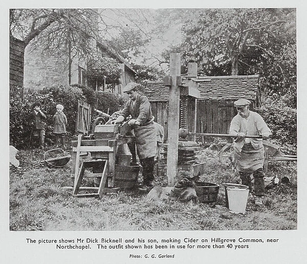 Making cider, Hillgrove Common, near Northchapel, Sussex (b / w photo)