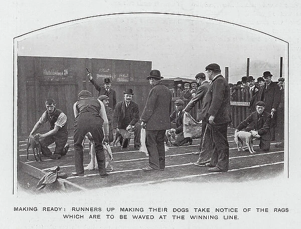 Making ready, runners up making their dogs take notice of the rags which are to be waved at the winning line (b / w photo)