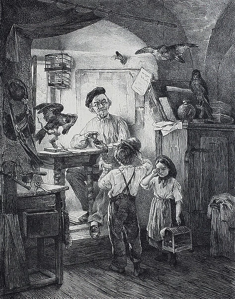 Man preserving zoological specimen, animal, preserved for scientific use, 1886, animal preparator